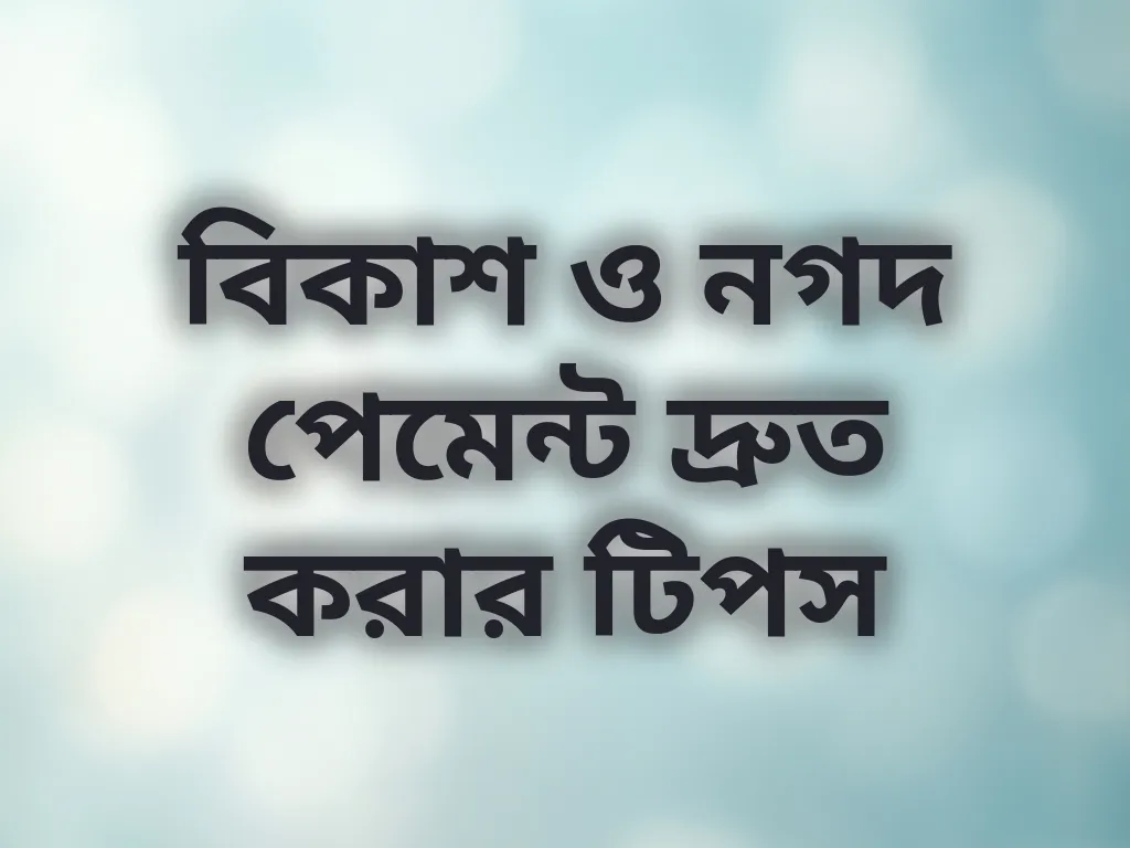 পেমেন্ট অপ্টিমাইজেশন